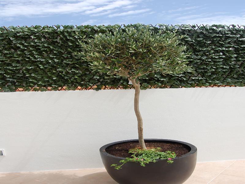 Villas Mare Residence Nazaré Dış mekan fotoğraf