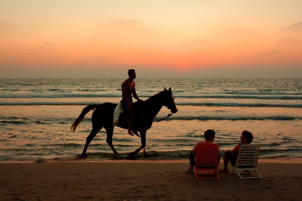 Villas Mare Residence Nazaré Dış mekan fotoğraf